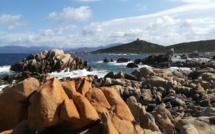 La photo du jour : de la tour de Campumoru  à la jolie plage de Cala d'Agulia