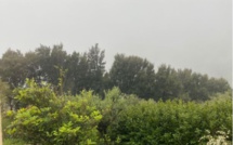 Sable du Sahara : la qualité de l’air se dégrade en Corse