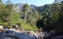 La photo du jour : dans le cirque de Bonifatu, la passerelle sur la Figarella