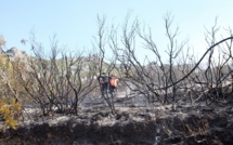 Bastia : Le feu à San Rucucciu