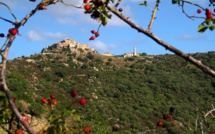 La photo du jour : la beauté de Sant' Antoninu