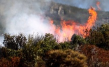 Le feu dans le défilé du Lancone : 10 ha détruits