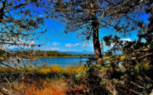 La photo du jour : l'étang d'Urbino se pare de ses couleurs d'automne