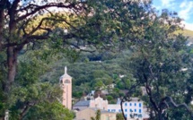 La photo du jour : Lavasina dans un trou de verdure