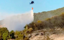 Un incendie détruit deux hectares de maquis et chênes à Cuttoli 