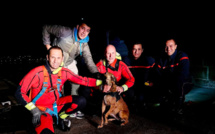 Ajaccio : les pompiers sauvent le chien tombé dans le port