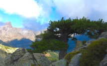 Météo de la semaine en Corse : un temps plutôt agréable mais venteux