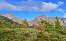 La photo du jour : entre Punta Licciola et Paglia Orba