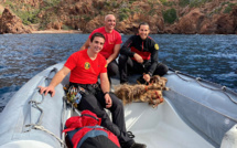 Les pompiers-montagnards de Corse-du-Sud au secours de la chèvre de Scandola