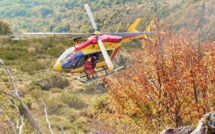 Un feu de végétation brûle 20 hectares à Palneca  