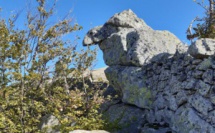 La photo du jour : Sur les crêtes du val d'Ese.... un homme vous regarde