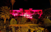 Ajaccio : u Palazzu di a Cullettività se pare de rose en soutien aux femmes atteintes d'un cancer