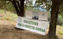 Face à l'afflux de visiteurs, u Cullettivu per a Furesta Corsa demande de réguler l'accès aux massifs forestiers