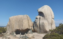 La photo du jour : le gorille de Testa Ventilegna