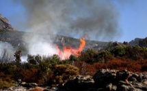 Une dizaine d'incendies en Haute-Corse