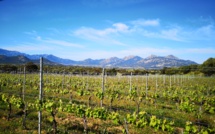 Les agriculteurs corses de plus en plus séduits par la Haute valeur environnementale