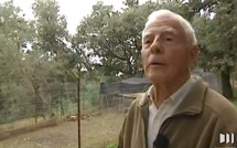 Des mouflons corses abattus ou torturés à… Hyères !