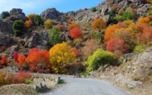 La photo du jour : les couleurs automnales de la Scala di Santa Regina
