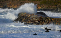 Les belles images de la tempête