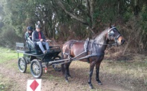 Querciolo : beau succès pour le rallye équestre d’Equitable-Corse