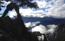 La photo du jour : l'arcu Scandulaghju à contre-jour