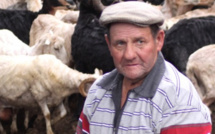 Un nouvel épisode dans l'affaire de l'expropriation d'un berger à Sant'Antonino