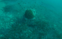 Une mine historique neutralisée au large de Porto-Vecchio 