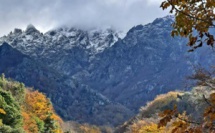 La photo du jour : au pied du Cintu, les ors de l'automne