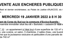 Eccica-Suarella : vente aux enchères publiques