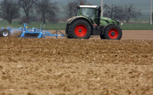 Paiement des aides de la PAC en Haute-Corse : 13,6 millions d'euros