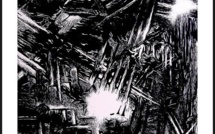 L'Ile-Rousse : Izabella Belcarz expose ses linogravures dans la cité paoline