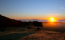La météo du dimanche 19 décembre 2021 en Corse