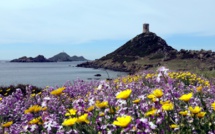 Loto du patrimoine : quel montant pour les deux sites corses ?