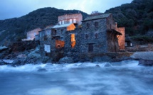 La photo du jour : Pinu balayé par les vagues