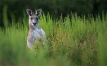 Australie et Dubaï : 2 destinations à visiter en 2022 !