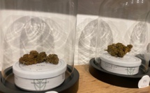 En Corse, l'avenir des boutiques de CBD menacé par l'interdiction de la vente de fleurs