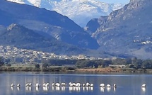 Météo de la semaine en Corse : un temps un peu froid mais bien ensoleillé