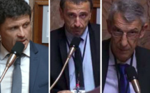 Pass vaccinal : 3 députés corses parmi les 60 parlementaires qui ont saisi le Conseil Constitutionnel 