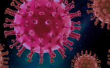 La pandémie de Covid-19 "est loin d'être terminée", selon le patron de l'Organisation Mondiale de la Santé