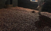 Valle d'Orezza : la castanéiculture à l'usu anticu