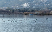 La météo du dimanche 23 janvier 2022 en Corse