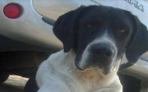 Les articles les plus lus en 2013 sur CNI : Whisky a fait le buzz