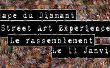 Ajaccio: Street Art Experience le 11 janvier 2014