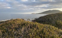 La météo du vendredi 4 février 2022 en Corse