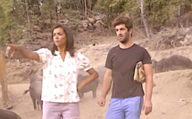 "L'amour est dans le pré" : Karine Le Marchand dévoile le portrait du candidat corse