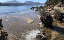 La photo du jour : a massedda di u Barracci 