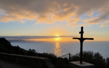 La photo du jour : Canari au soleil couchant