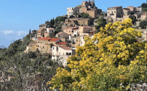 La photo du jour : Notre dame des 7 douleurs à Corbara, entre mimosas et amandiers en fleurs 