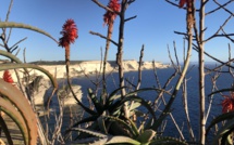 La photo du jour : Bonifacio, comme un coin de paradis