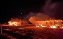 Boxes incendiés à La Marana : la colère de Livia